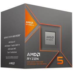 AMD Ryzen 5 8600G 6-Core...