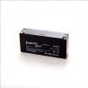 Batteria Energy Safe 12V 2.3Ah – Morsetti Faston Piccoli Modello 0041202 | Al Piombo Sigillata VRLA