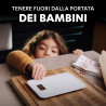 Duracell CR2032 3V – 2 Pile al Litio Originali – Batterie Bottone per Telecomandi e Orologi